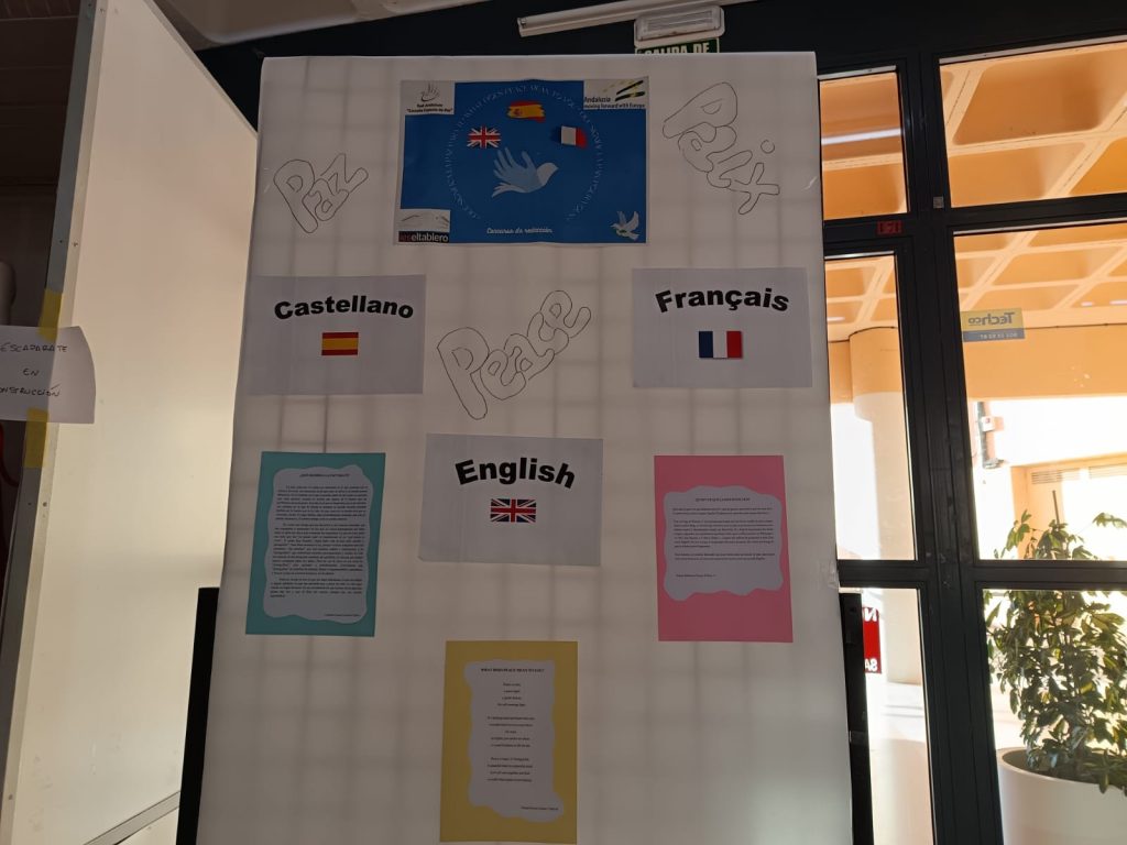 IMG-20250203-WA0058-1024x768